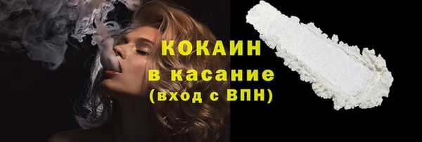 ПСИЛОЦИБИНОВЫЕ ГРИБЫ Горняк